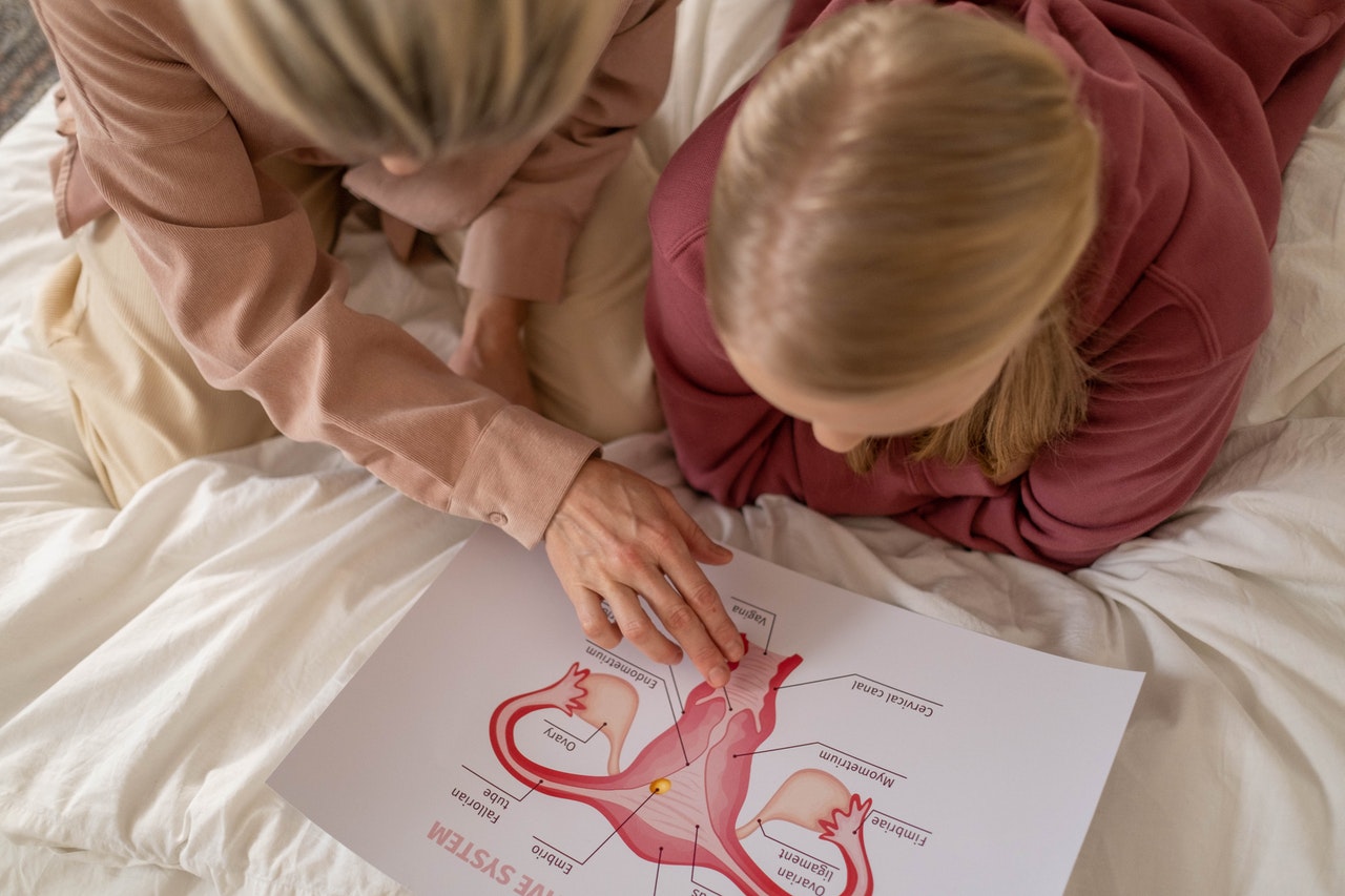 Two women are on the bed with uterus picture